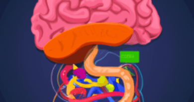 What is the Gut-Brain Connection?