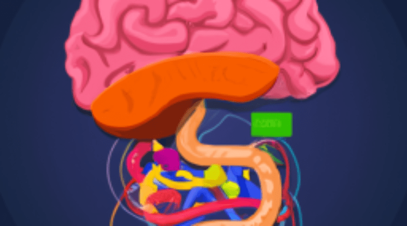 What is the Gut-Brain Connection?