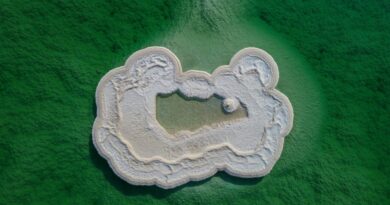 Docusate sodium (oral route)