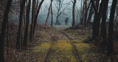 Narrow stools: Should I be concerned?