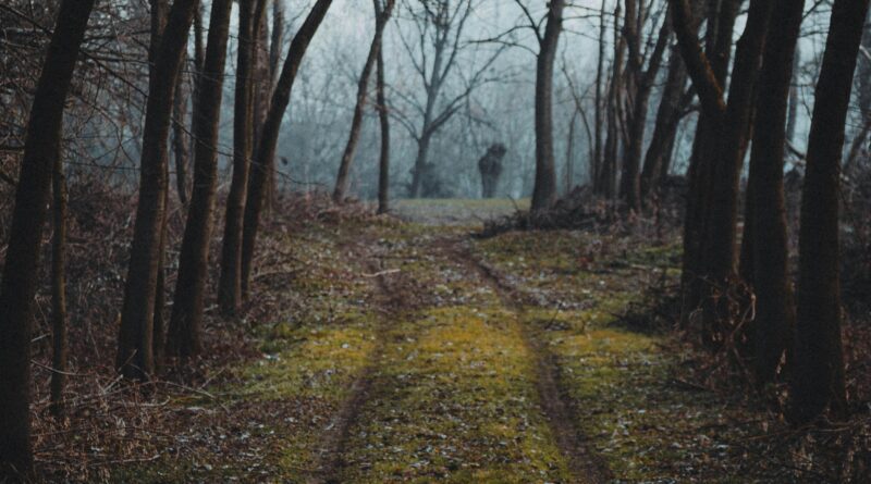 Narrow stools: Should I be concerned?